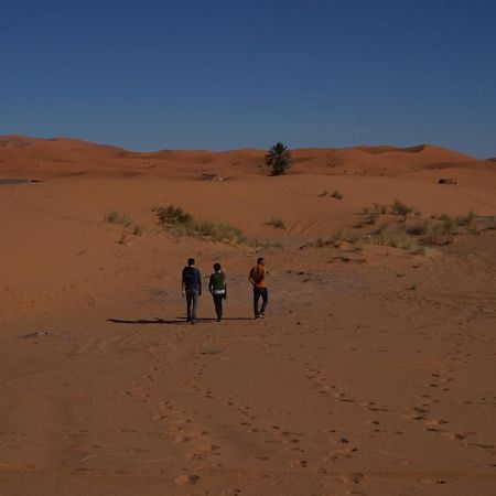 Bivouac Camel Trips 호텔 메르주가 외부 사진