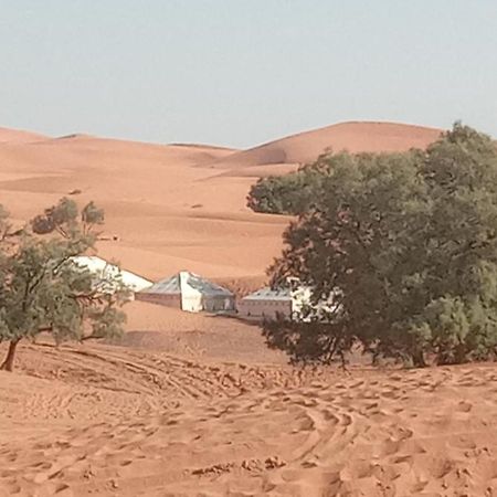Bivouac Camel Trips 호텔 메르주가 외부 사진