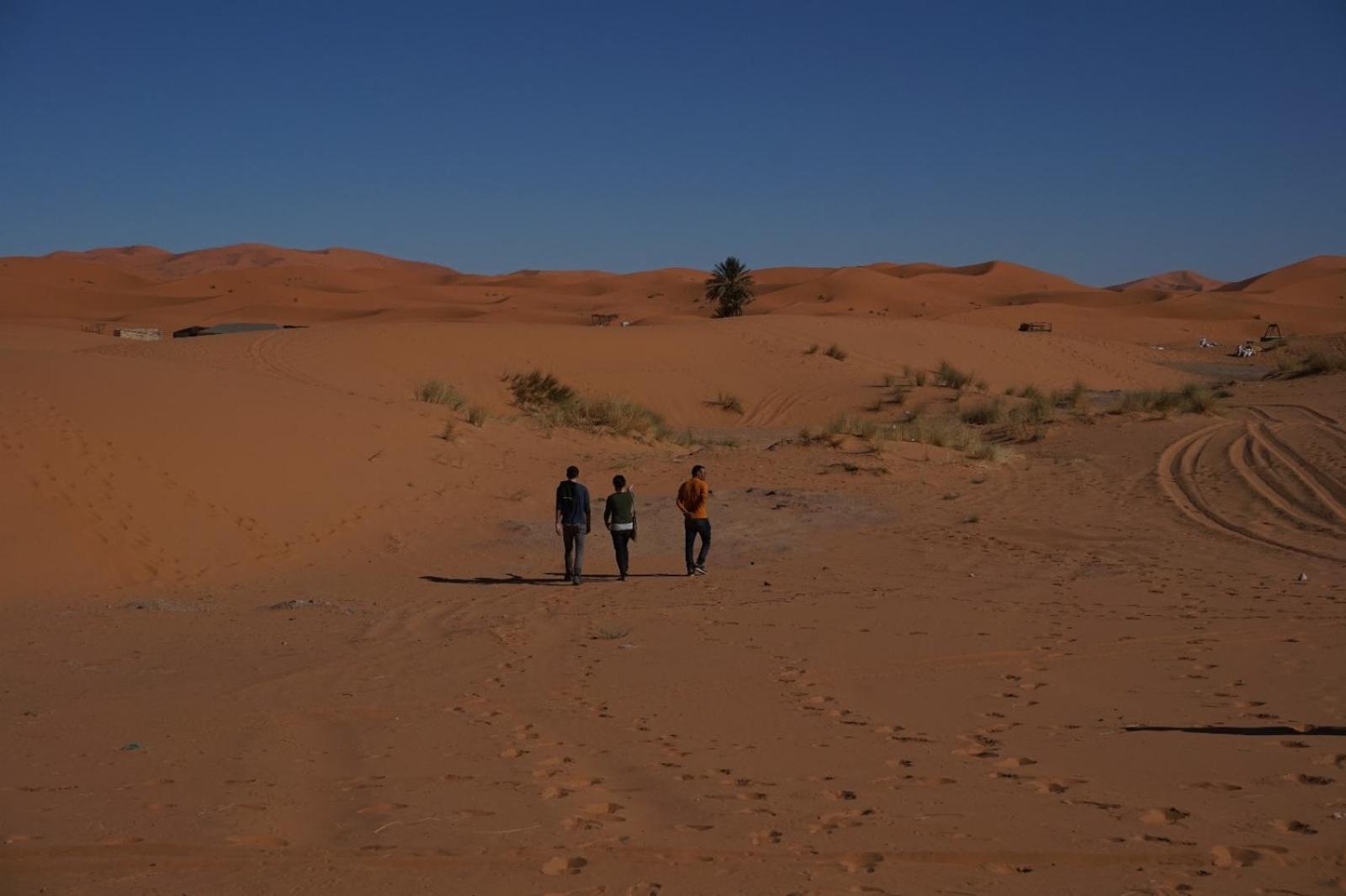 Bivouac Camel Trips 호텔 메르주가 외부 사진