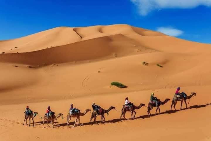 Bivouac Camel Trips 호텔 메르주가 외부 사진