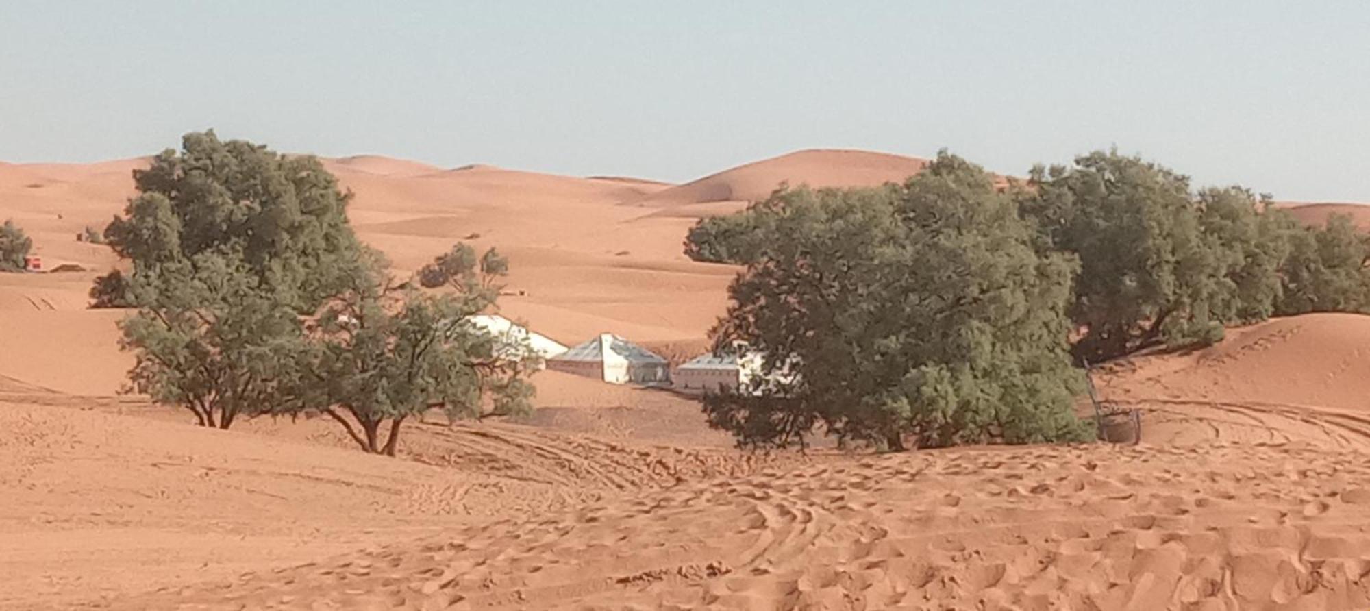 Bivouac Camel Trips 호텔 메르주가 외부 사진