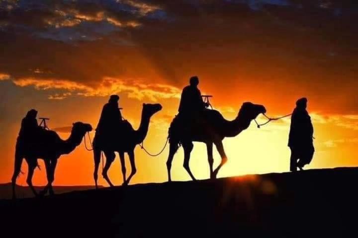 Bivouac Camel Trips 호텔 메르주가 외부 사진