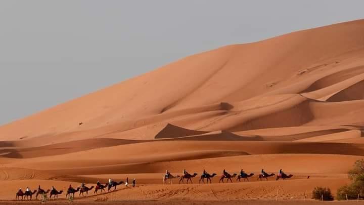 Bivouac Camel Trips 호텔 메르주가 외부 사진