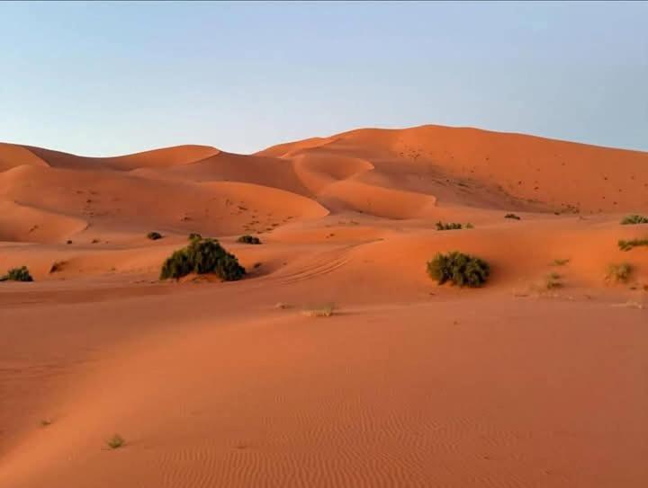 Bivouac Camel Trips 호텔 메르주가 외부 사진