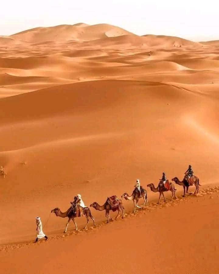 Bivouac Camel Trips 호텔 메르주가 외부 사진