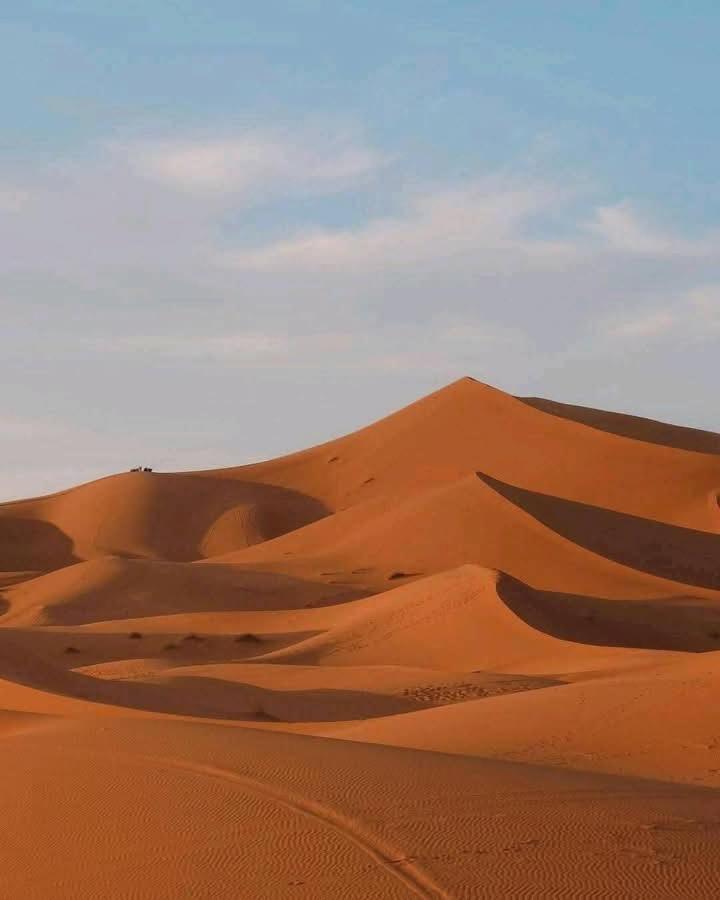 Bivouac Camel Trips 호텔 메르주가 외부 사진
