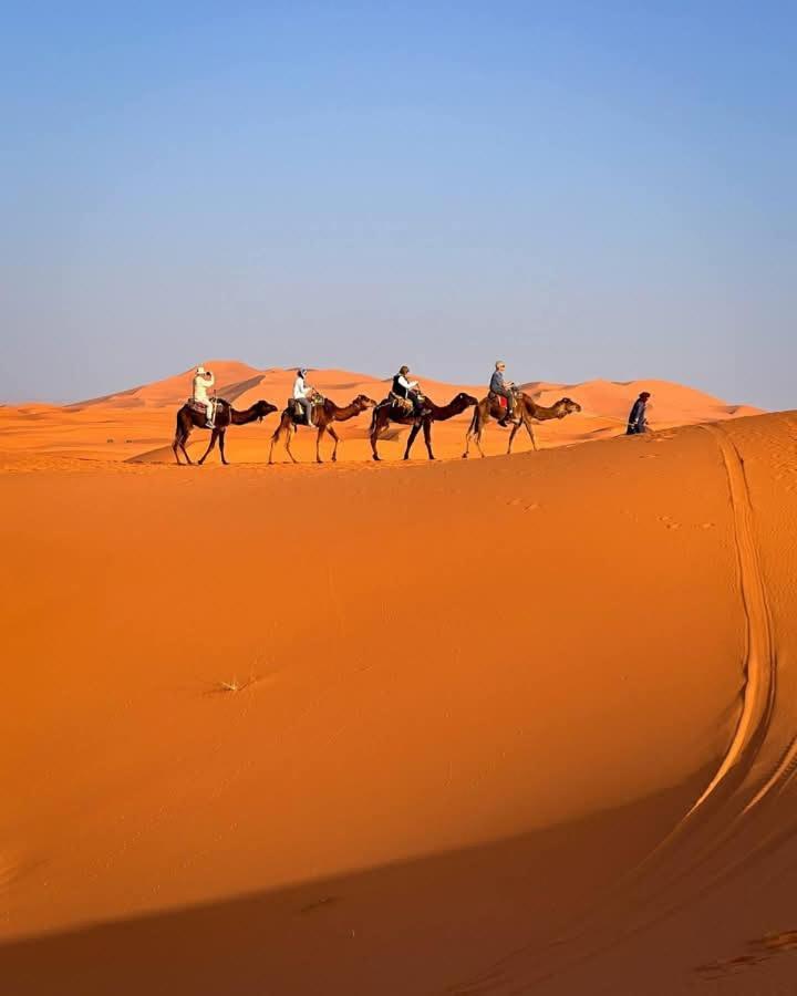 Bivouac Camel Trips 호텔 메르주가 외부 사진