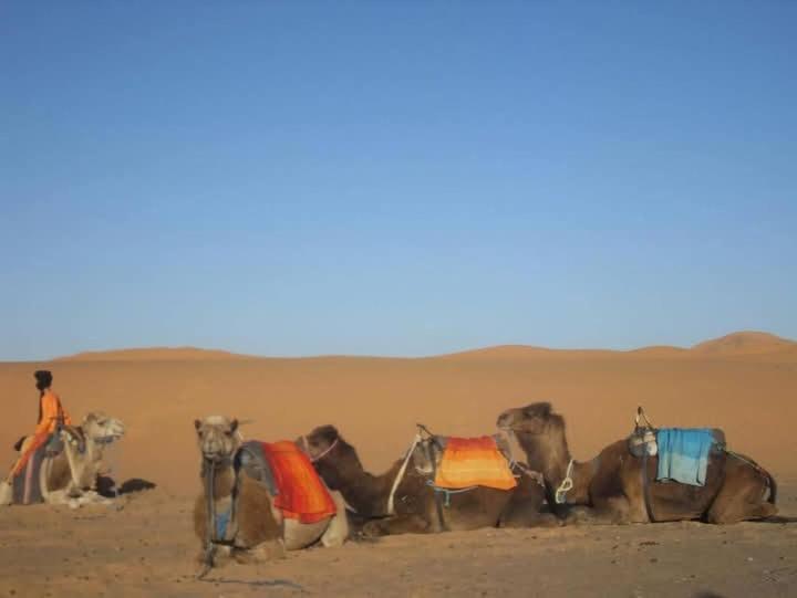 Bivouac Camel Trips 호텔 메르주가 외부 사진