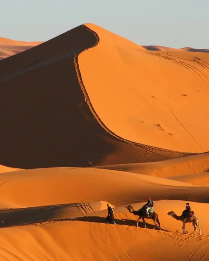 Bivouac Camel Trips 호텔 메르주가 외부 사진