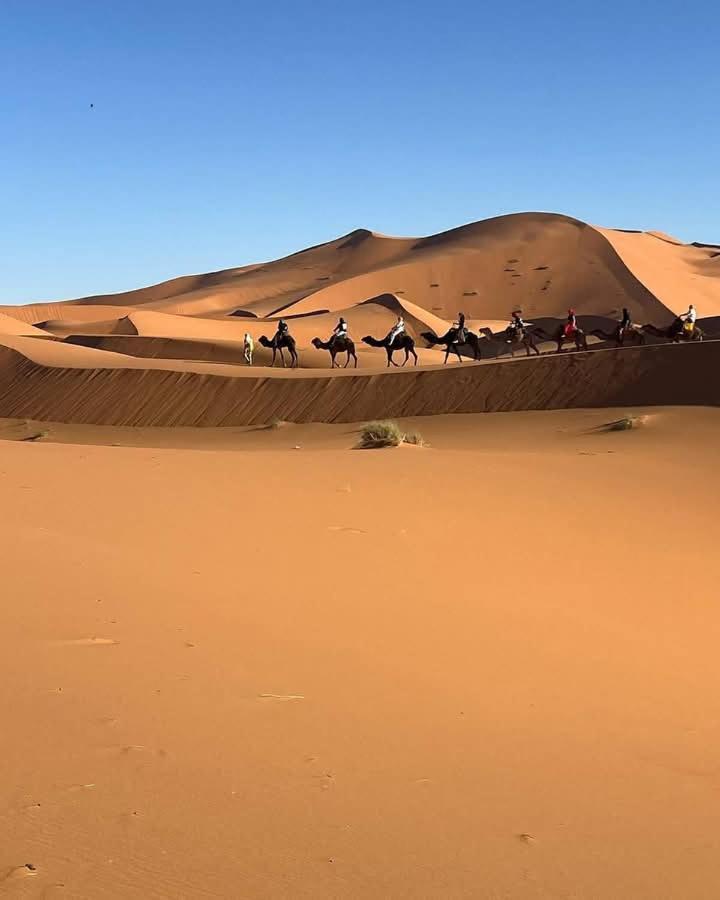 Bivouac Camel Trips 호텔 메르주가 외부 사진