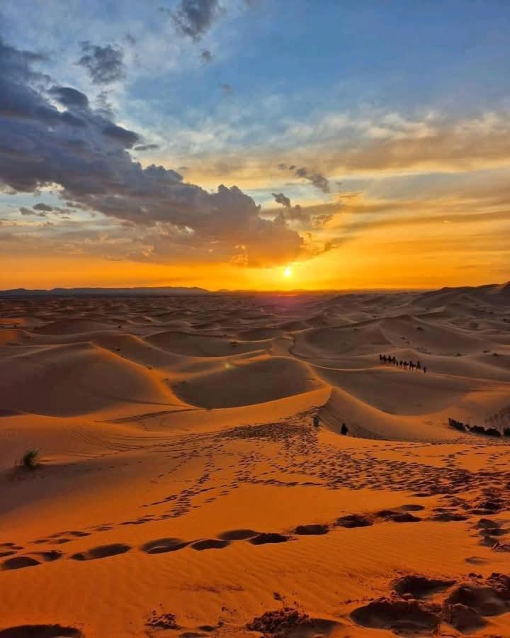 Bivouac Camel Trips 호텔 메르주가 외부 사진