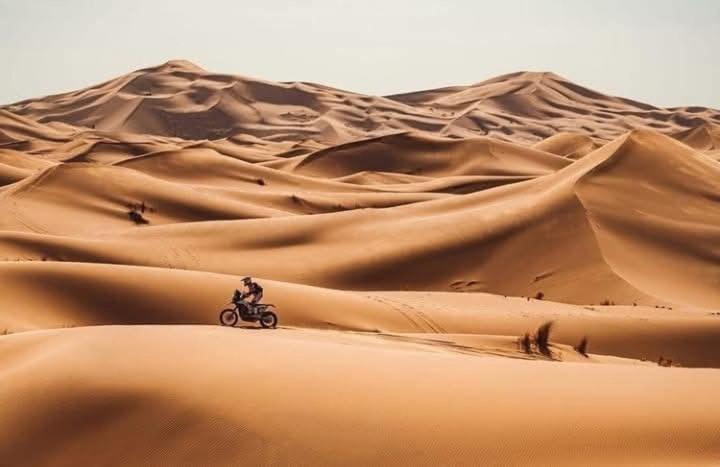Bivouac Camel Trips 호텔 메르주가 외부 사진
