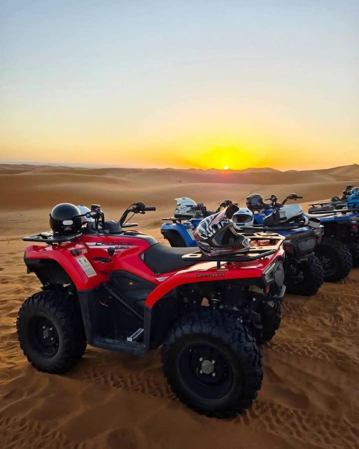 Bivouac Camel Trips 호텔 메르주가 외부 사진